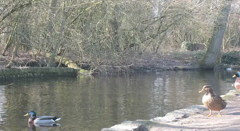 Ferielejlighed i Bredene