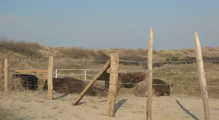 Ferielejlighed i Bredene