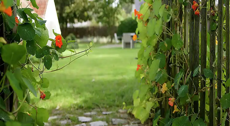 Feriebolig i Koksijde