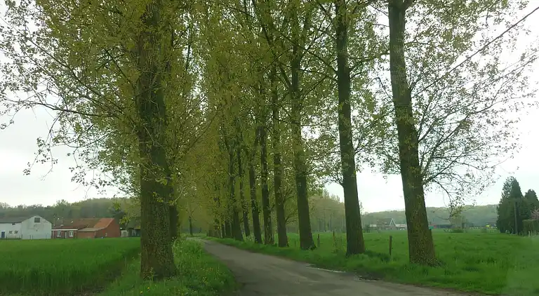 Herregård i Ruiselede