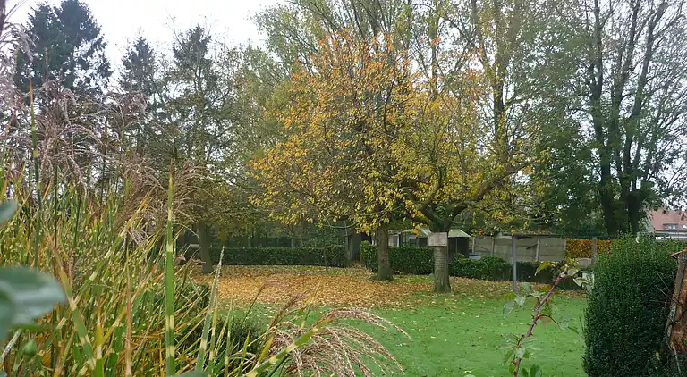 Casa vacanze in Ruiselede