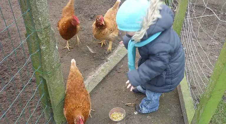 Casa vacanze in Ruiselede