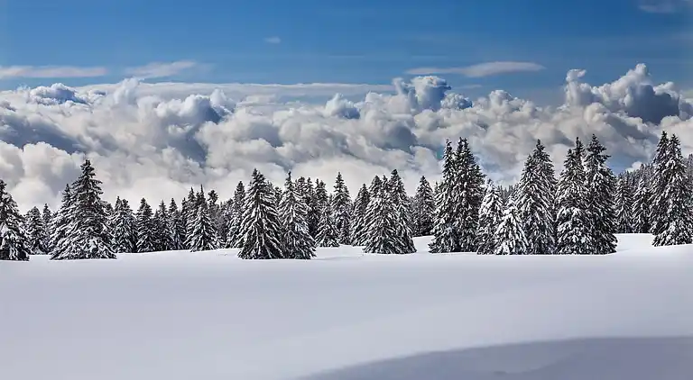 Holiday home in Riddes