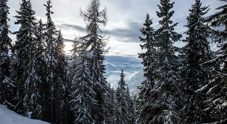 Holiday home in Riddes