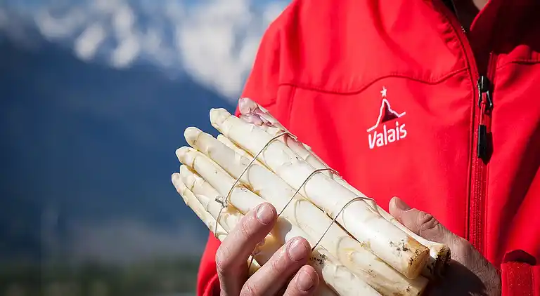 Sommerhus i Hérémence