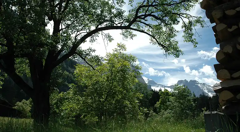 Sommerhus i Kandergrund