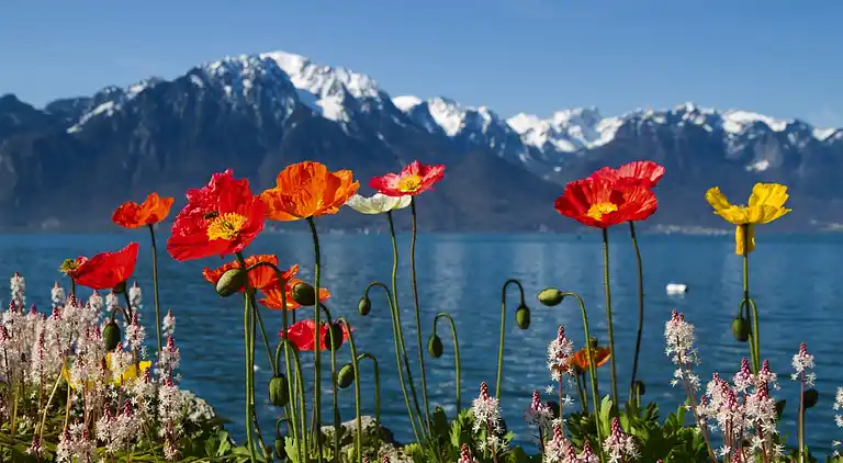 Sommerhus i Kandergrund