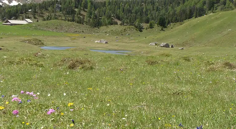 Sommerhus i Kandergrund