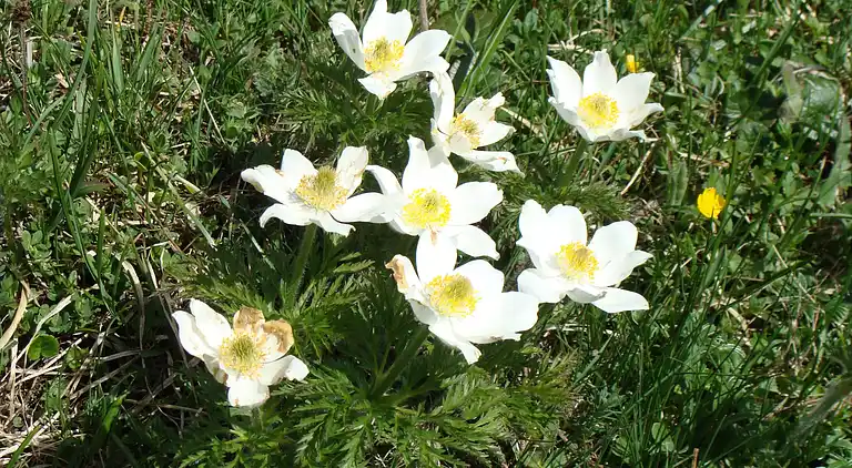 Sommerhus i Kandergrund