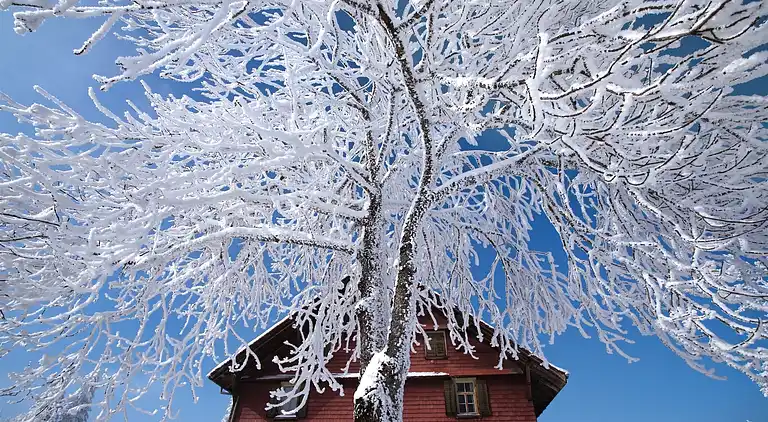 Sommerhus i Kandergrund