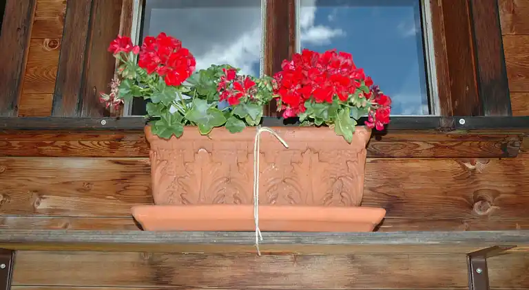 Sommerhus i Kandergrund