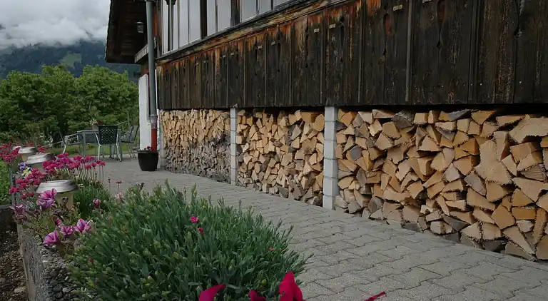 Ferielejlighed i Scharnachtal