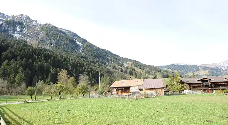 Ferielejlighed i Lenk im Simmental