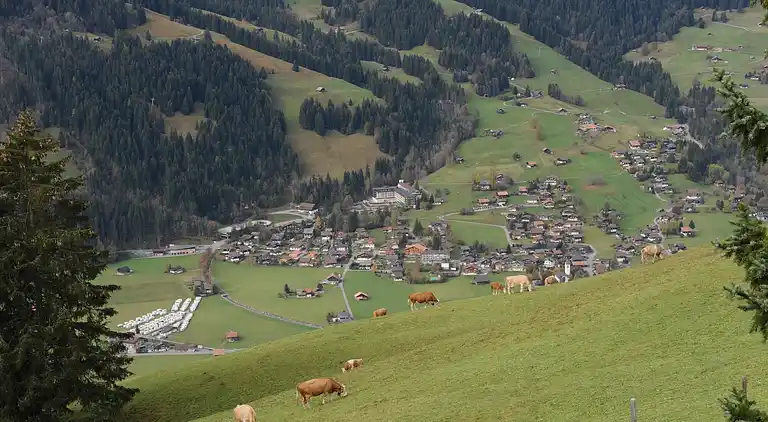Ferielejlighed i Lenk im Simmental