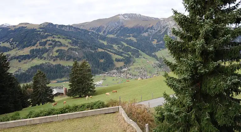 Ferielejlighed i Lenk im Simmental
