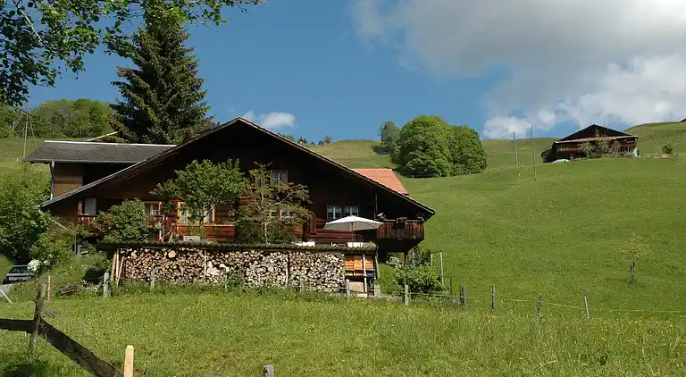 Farm house in Habkern
