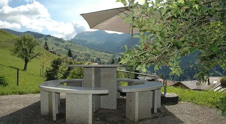 Farm house in Habkern