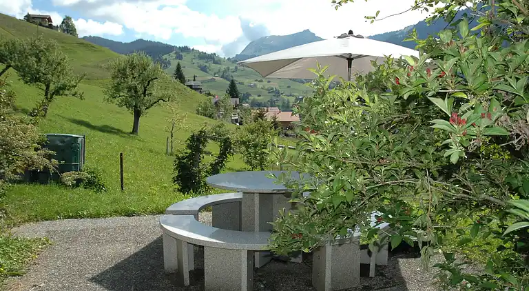 Farm house in Habkern