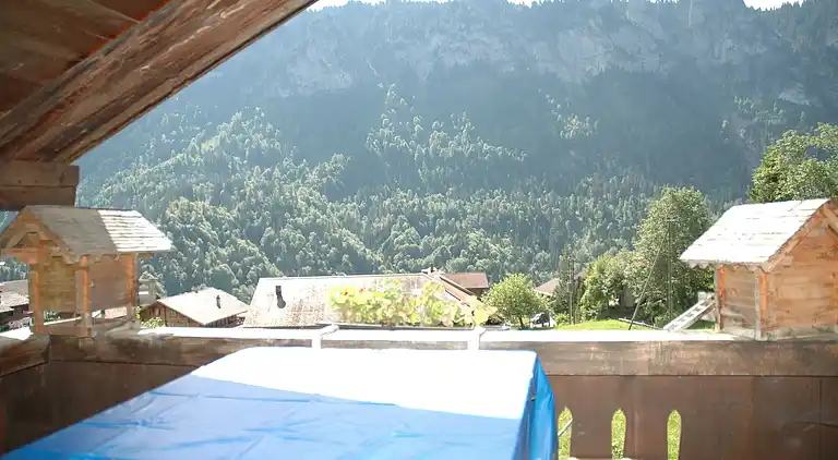 Farm house in Habkern