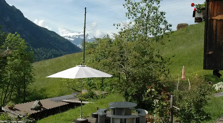 Farm house in Habkern