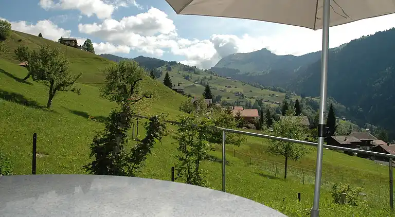 Farm house in Habkern