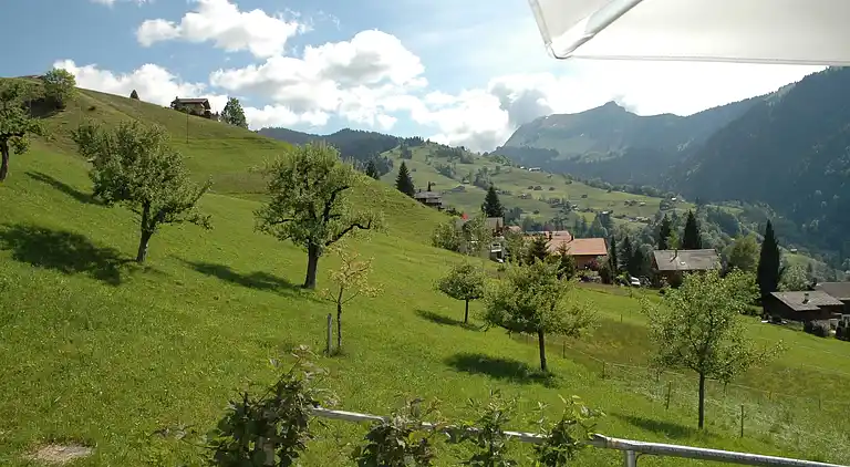 Farm house in Habkern