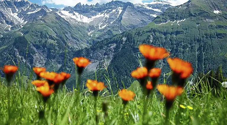 Farm house in Habkern