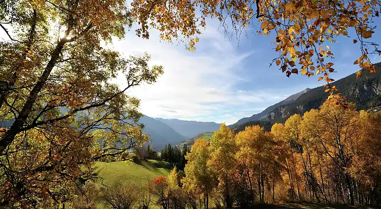 Farm house in Habkern