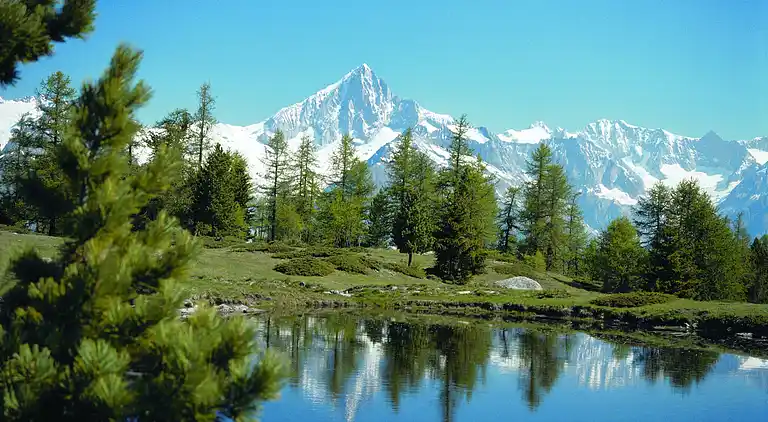 Ferielejlighed i Naters