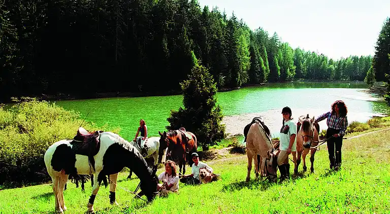 Apartment in Saas-Almagell