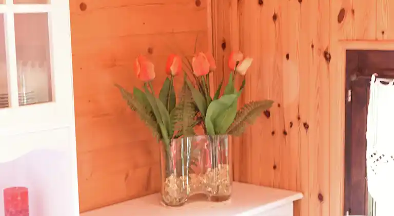 Ferielejlighed i Gasenried