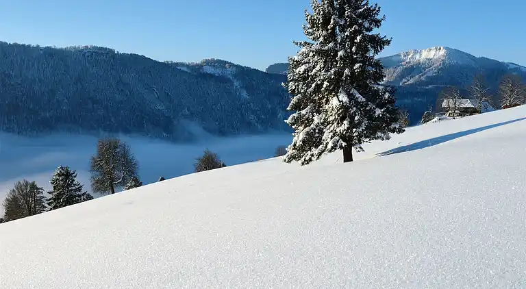 Ferielejlighed i Grächen
