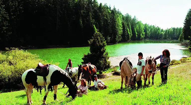 Holiday home in Niedergampel
