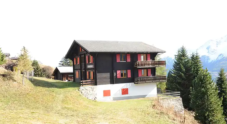 Ferielejlighed i Riederalp