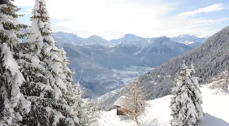 Ferielejlighed i Riederalp