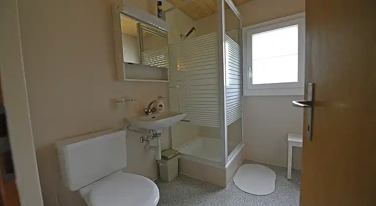 Ferielejlighed i Fiesch