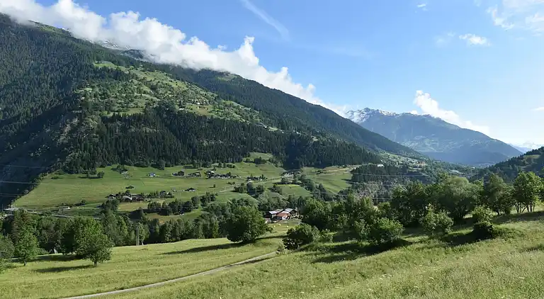 Feriebolig i Grengiols