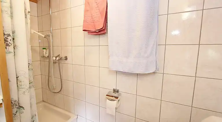 Cottage in Grengiols