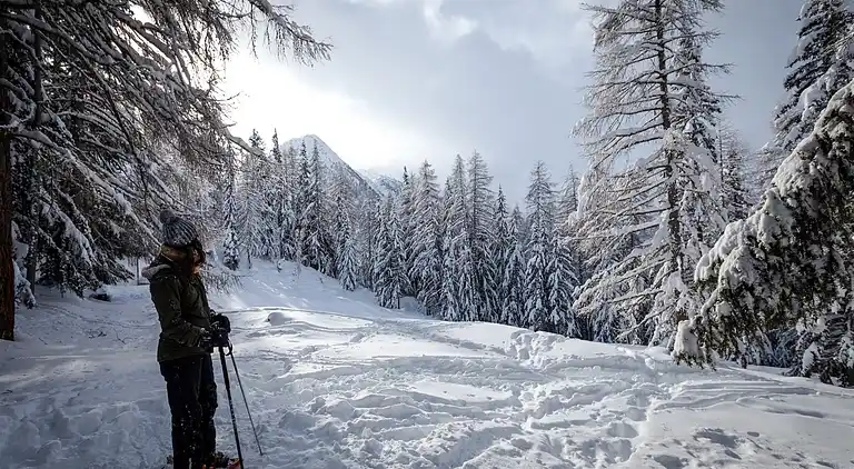 Cottage in Grengiols