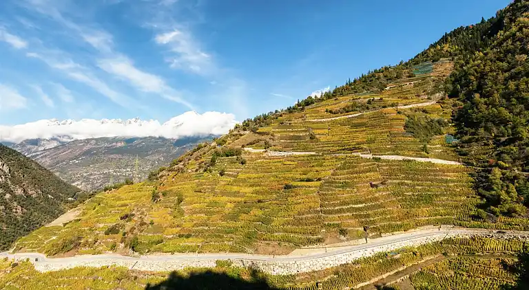 Holiday home in Grengiols