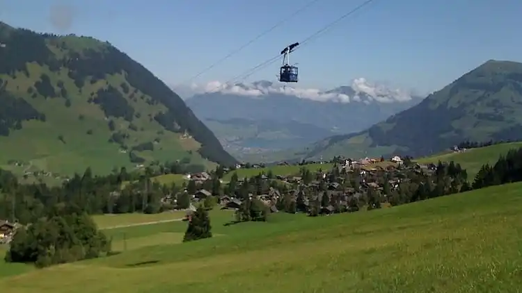 Apartment in Wirzweli