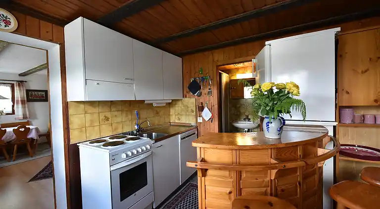 Apartment in Obersaxen