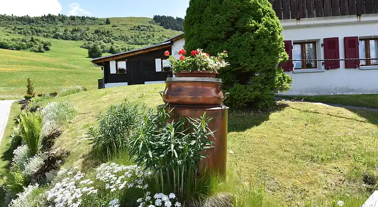 Apartment in Obersaxen