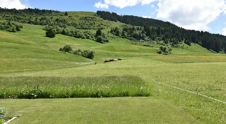 Apartment in Obersaxen