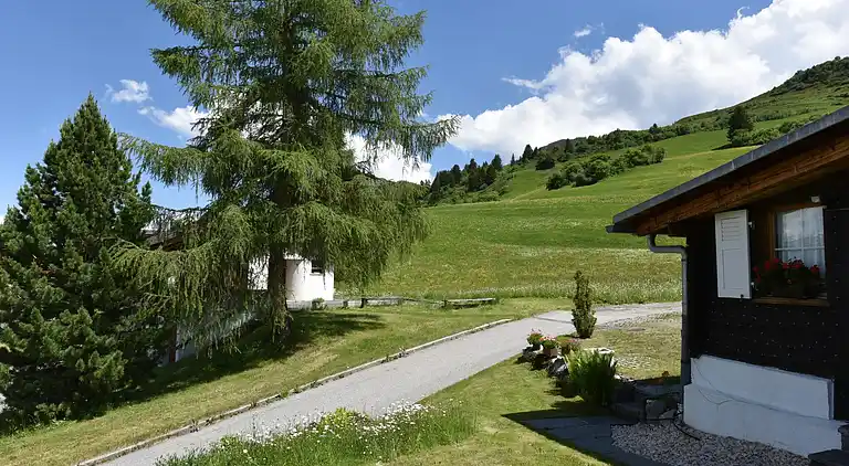 Apartment in Obersaxen