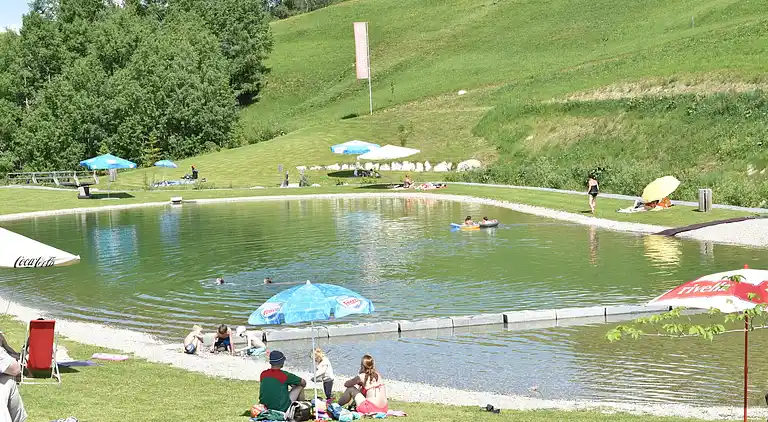 Apartment in Obersaxen