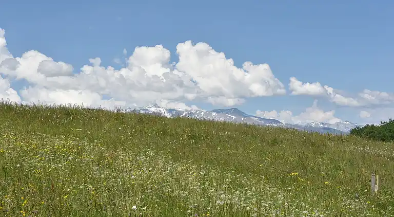 Apartment in Obersaxen