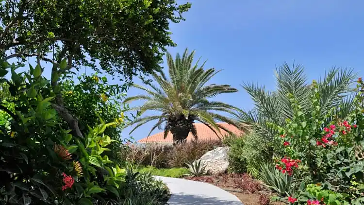 Apartment in Jan Thiel