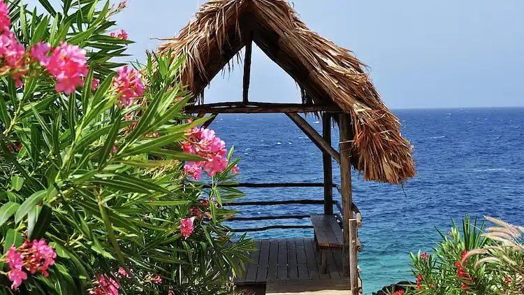 Apartment in Jan Thiel