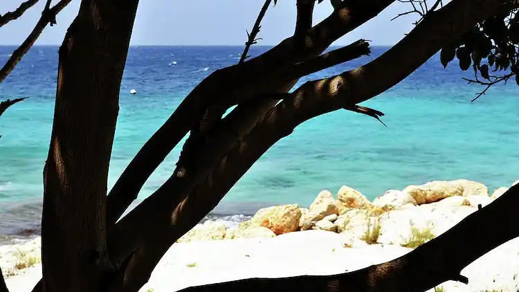 Apartment in Jan Thiel